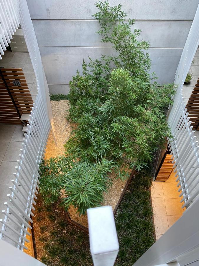 The Gallery Luxe 1 Bedroom Executive Apartment In The Heart Of Braddon Wine Secure Parking Wifi Canberra Buitenkant foto